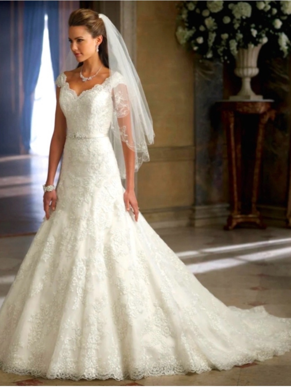 Elegant Ivory/Oyster Lace Wedding Dress with Belt